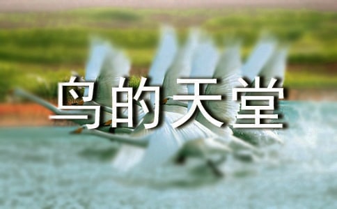 介紹鳥的天堂的導游詞集合13篇