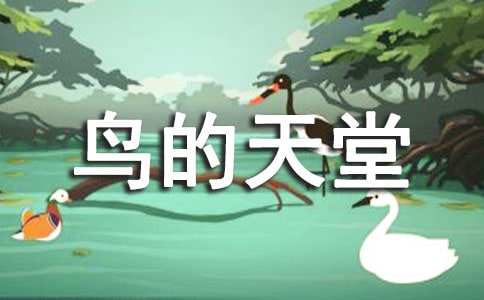 鳥的天堂導游詞(合集15篇)