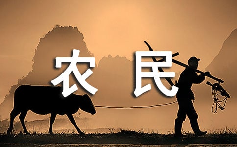 豐收季節農民欣喜的句子（精選150句）