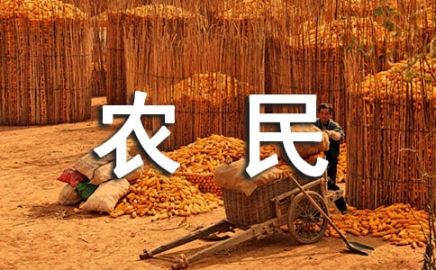 農民工返鄉證明模板通用