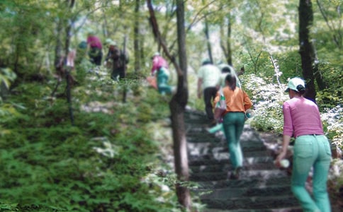 臨沂不可錯過的十大爬山勝地