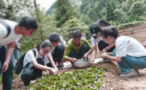 醫學生三下鄉心得體會