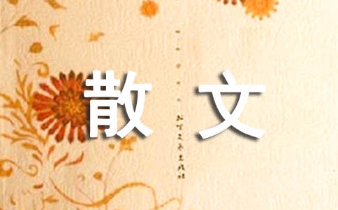 《新少林寺》影評散文隨筆