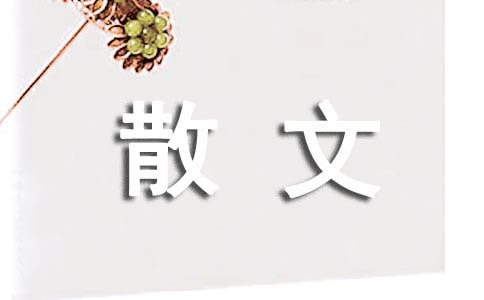 關于悠閑的生活方式的散文