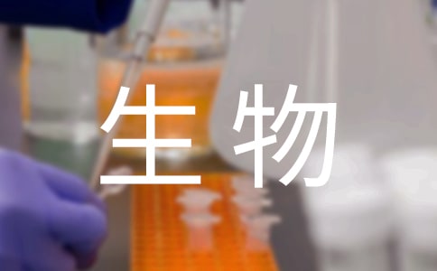 人教版八年級生物教案（精選18篇）