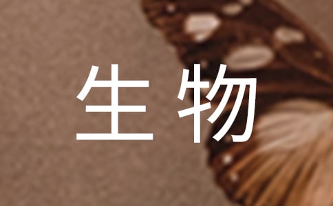 神奇生物鐘對(duì)生寶寶的好處