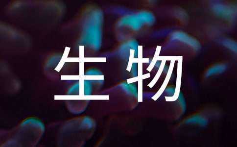 如何提高高考生物成績