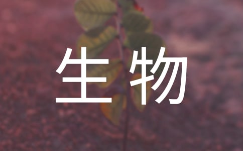 《生物的啟示》教學(xué)反思（通用5篇）