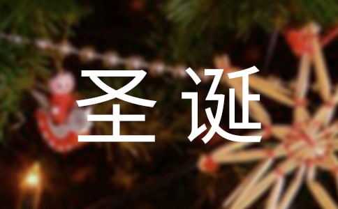 漂亮的圣誕樹(shù)手工制作