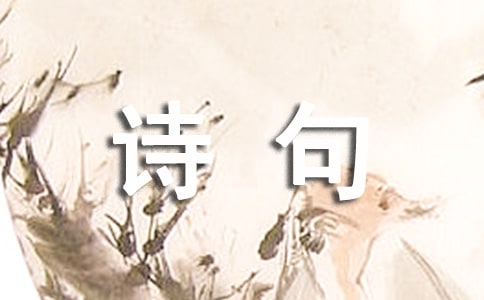 雨個性詩句座右銘語錄40句