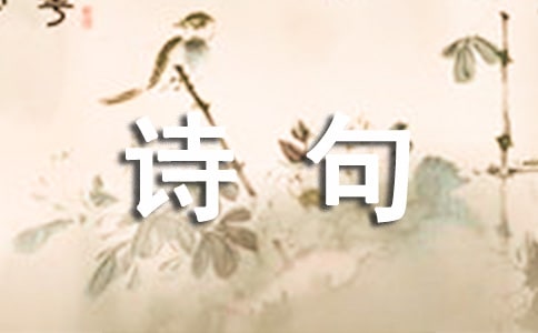 關于思念個性詩句座右銘語錄大全（通用60句）