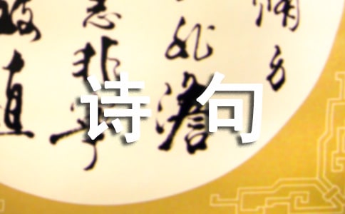 雨個性詩句座右銘（精選50句）
