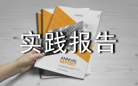 網絡維護社會實踐報告