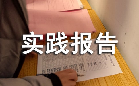 綜合實踐報告