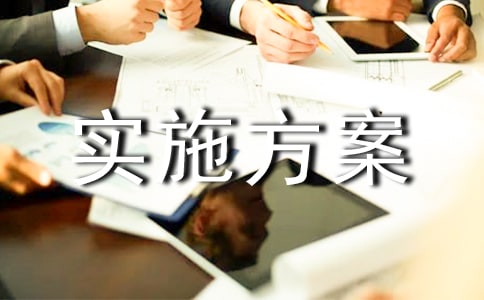 項目化管理實施方案