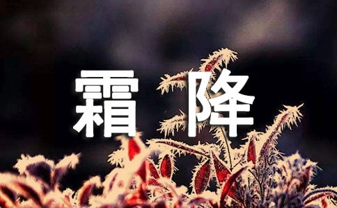 霜降節氣吃什么好