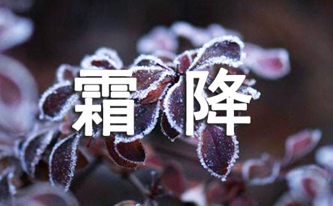 霜降養生需要注意什么