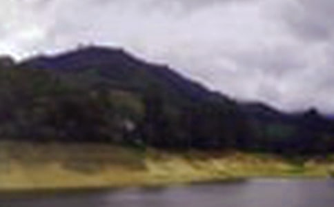 水庫垂釣技巧