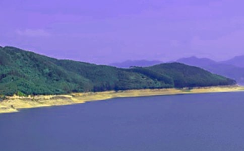 水庫野釣技巧