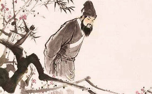 蘇軾《東坡》閱讀答案及翻譯賞析