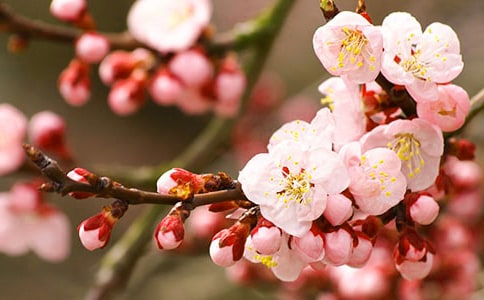 舟山桃花島旅游攻略