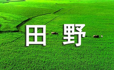 《五月的田野》教案