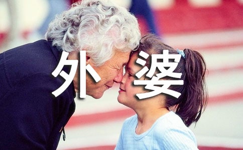 樟樹下，外婆家閱讀答案