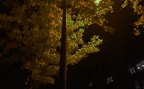 最新個性晚安感言30句