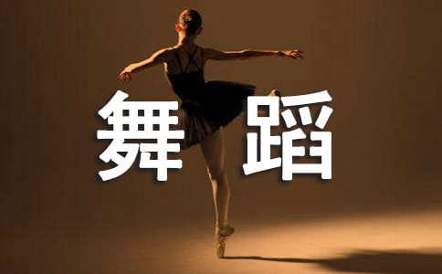 舞蹈教案模板14篇