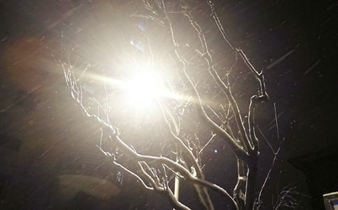 下雪天要小心教案（通用13篇）