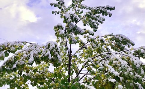 下雪天開車的注意事項