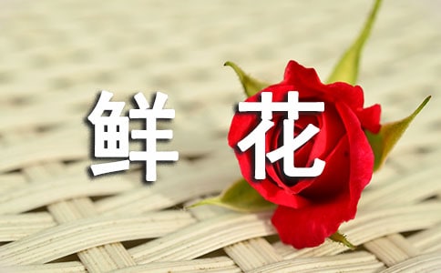 《開(kāi)滿鮮花的小路》教案