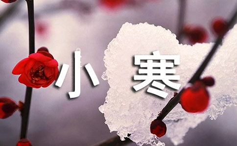小寒養(yǎng)生食譜