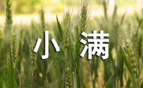 小滿養生喝什么粥