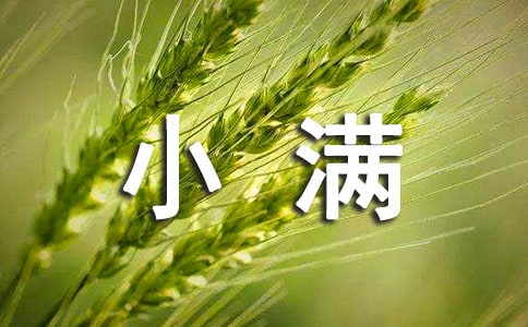 小滿時水稻的管理要素