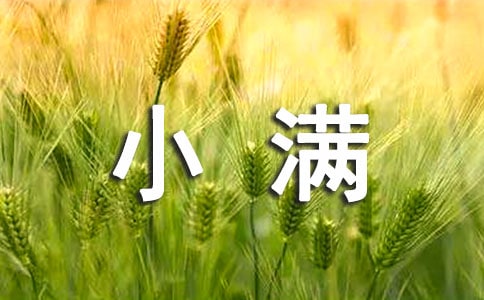 小滿養生吃什么食物好