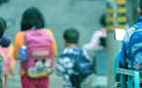 關于小學生科普作文匯編9篇