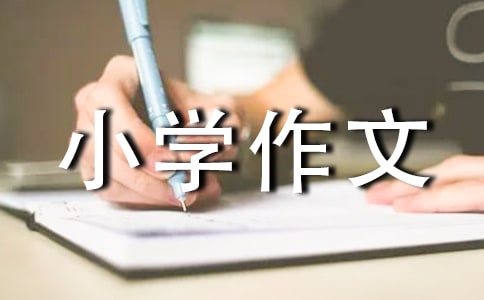 旅游景點(diǎn)小學(xué)作文(集合13篇)