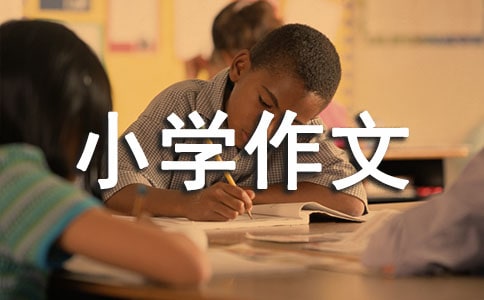 旅游景點小學作文（精選46篇）