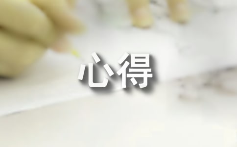 excel實訓(xùn)心得
