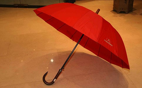 《動物的雨傘》中班教案