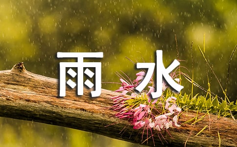 雨水節氣釣魚技巧