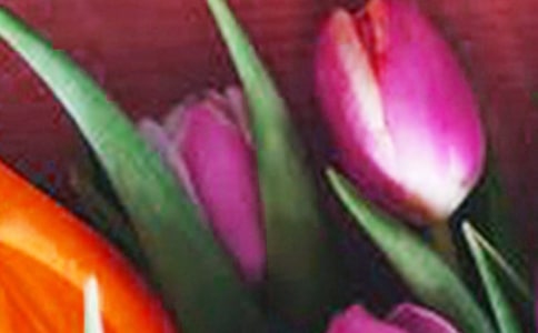 黑色郁金香花語是什么