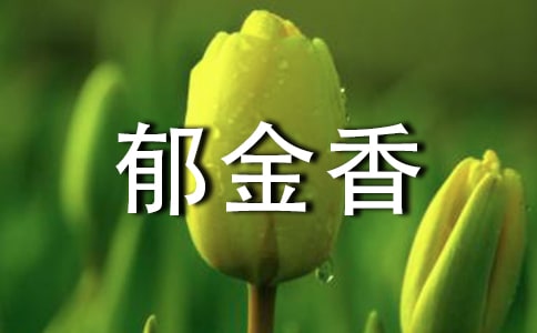郁金香怎么養