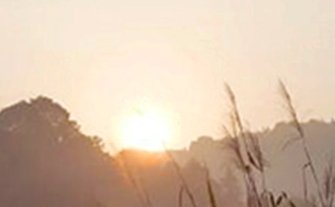 簡短的生活早安心語微信35句