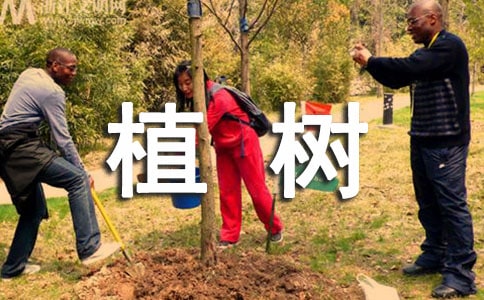 《走，我們去植樹》教案