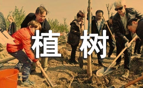 大學生植樹活動總結