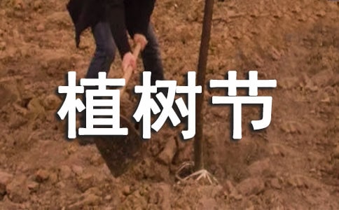 小學生植樹節口號(6篇)