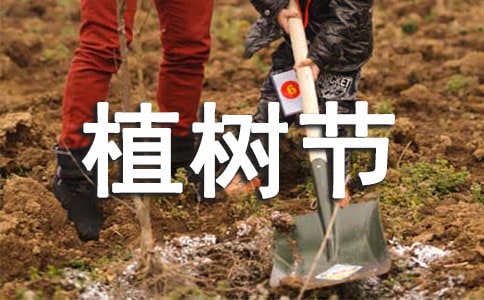 小學(xué)生植樹節(jié)口號6篇
