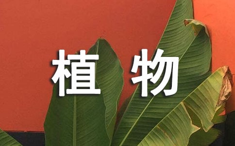 植物科學(xué)小常識(shí)